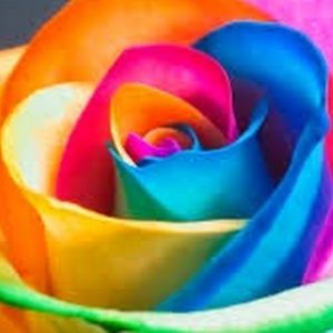 Meet your Posher, Naama